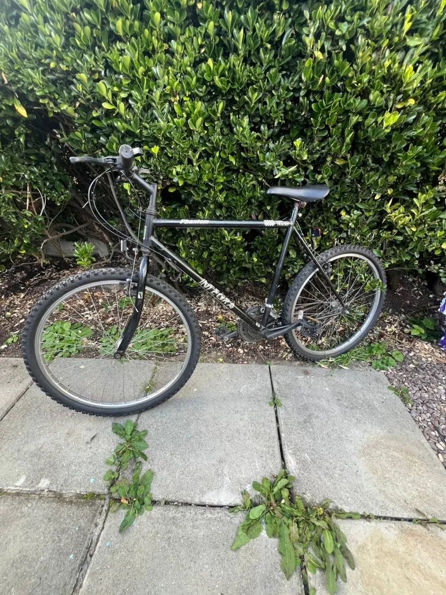 Bike - Image 1