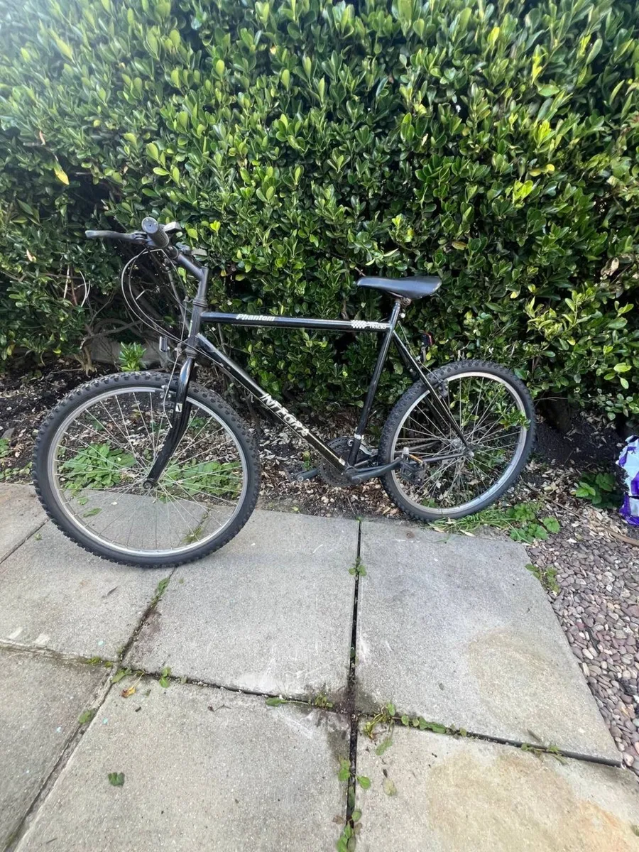 Bike - Image 2
