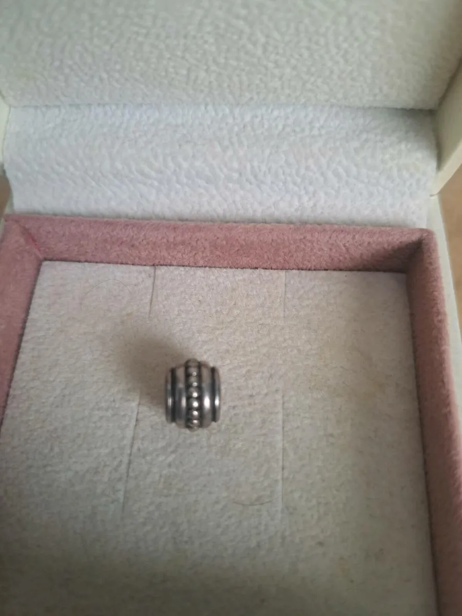 Pandora Bracelet & Charms - Image 3