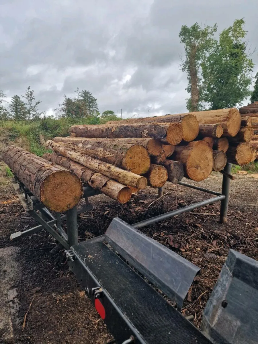 Firewood Processor Log Deck - Image 1
