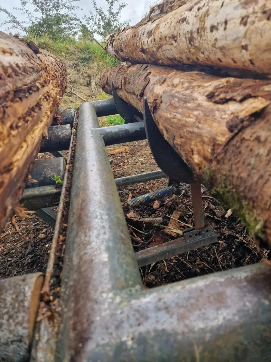 Firewood Processor Log Deck - Image 2