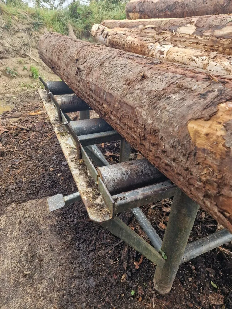 Firewood Processor Log Deck - Image 3