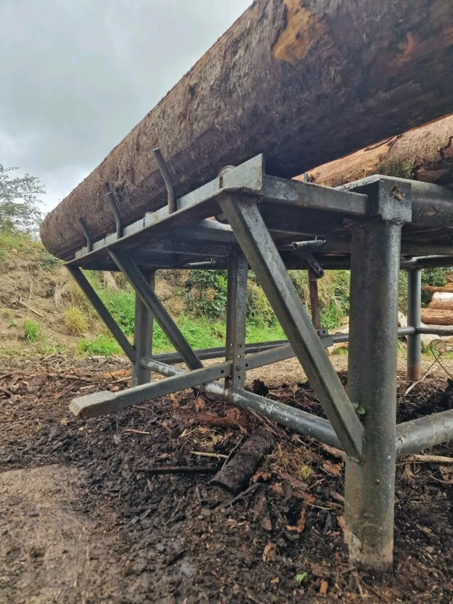 Firewood Processor Log Deck - Image 4