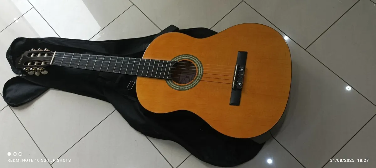 Guitar - Image 2