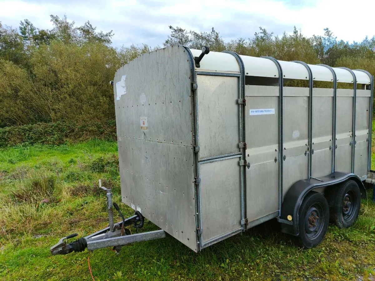Ifor Williams 12x6 - Image 1