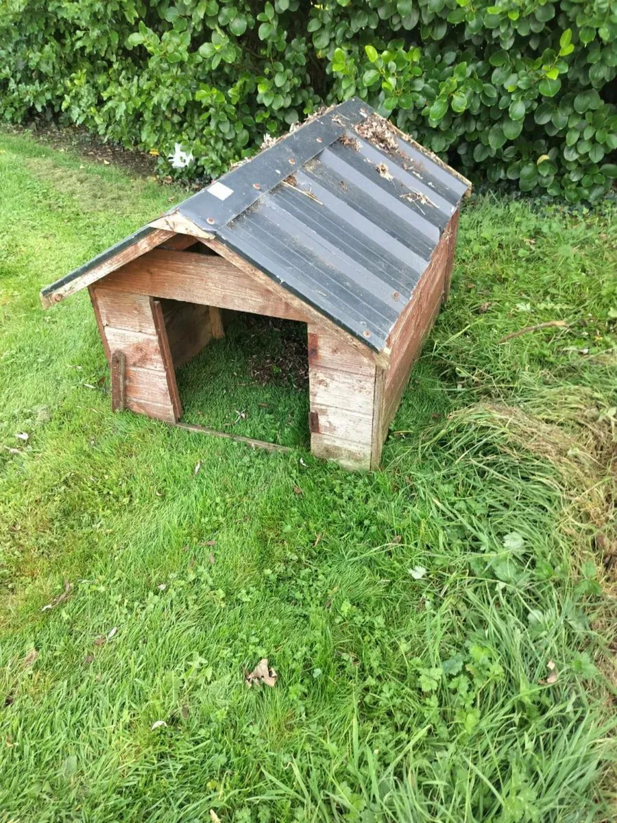 Dog house - Image 1