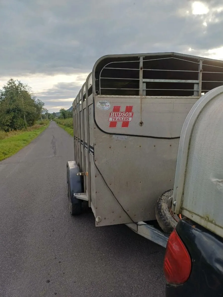 Hudson 12ft  cattle trailer €2750 EUROS - Image 2