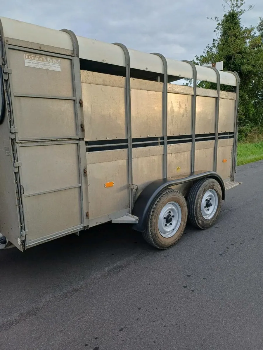 Hudson 12ft  cattle trailer €2750 EUROS - Image 1