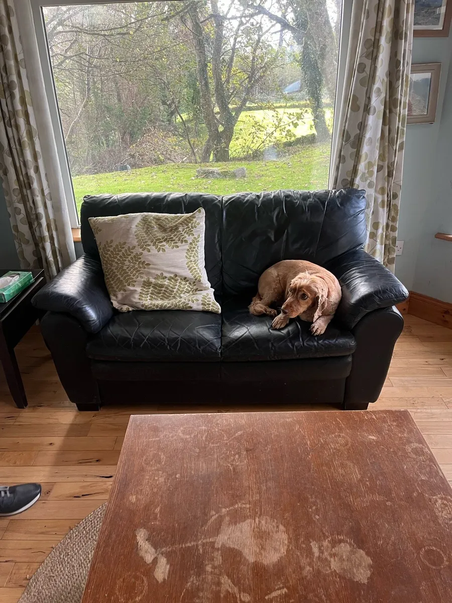 Black leather couch - Image 1