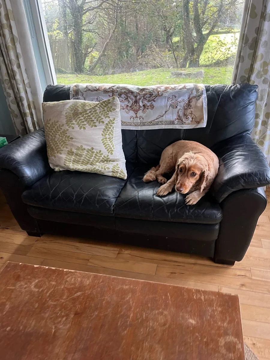 Black leather couch - Image 2
