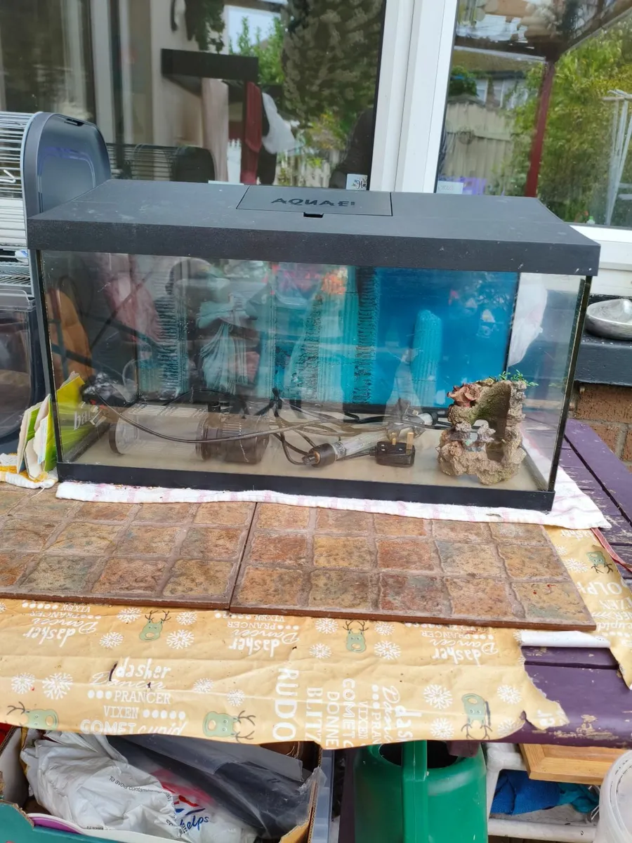 Fish tank, hamster/gerbil tank - Image 1