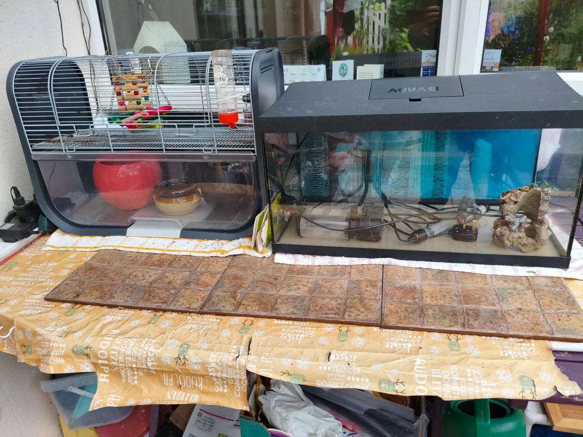 Fish tank, hamster/gerbil tank - Image 2