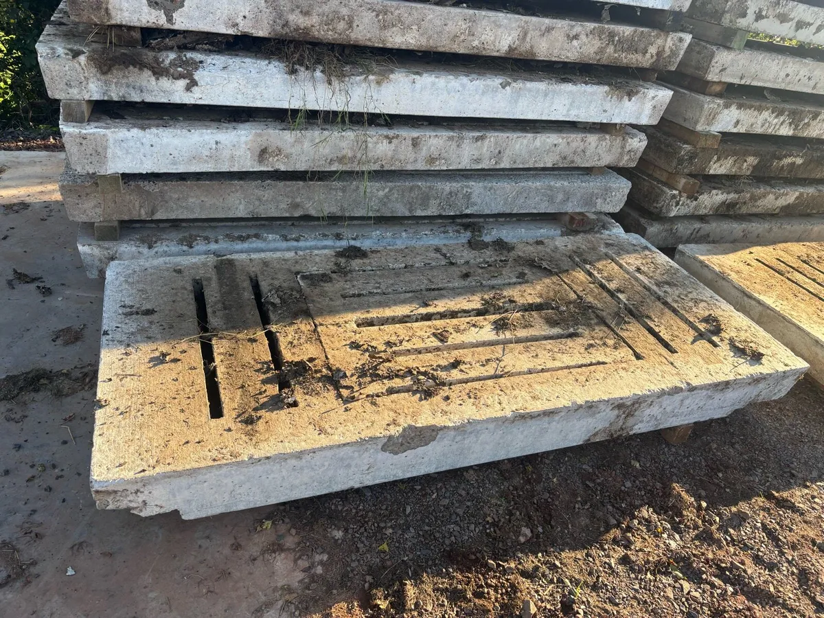 9ft  gang cattle slats - Image 2