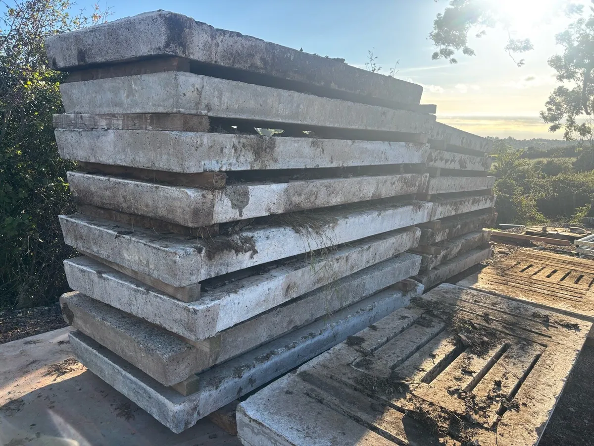 9ft  gang cattle slats - Image 4