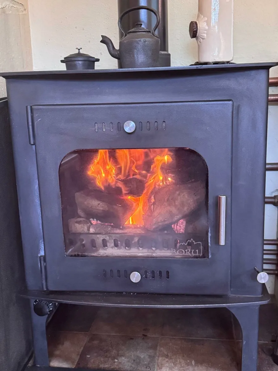 25kw Carraig Mor boiler stove - Image 4