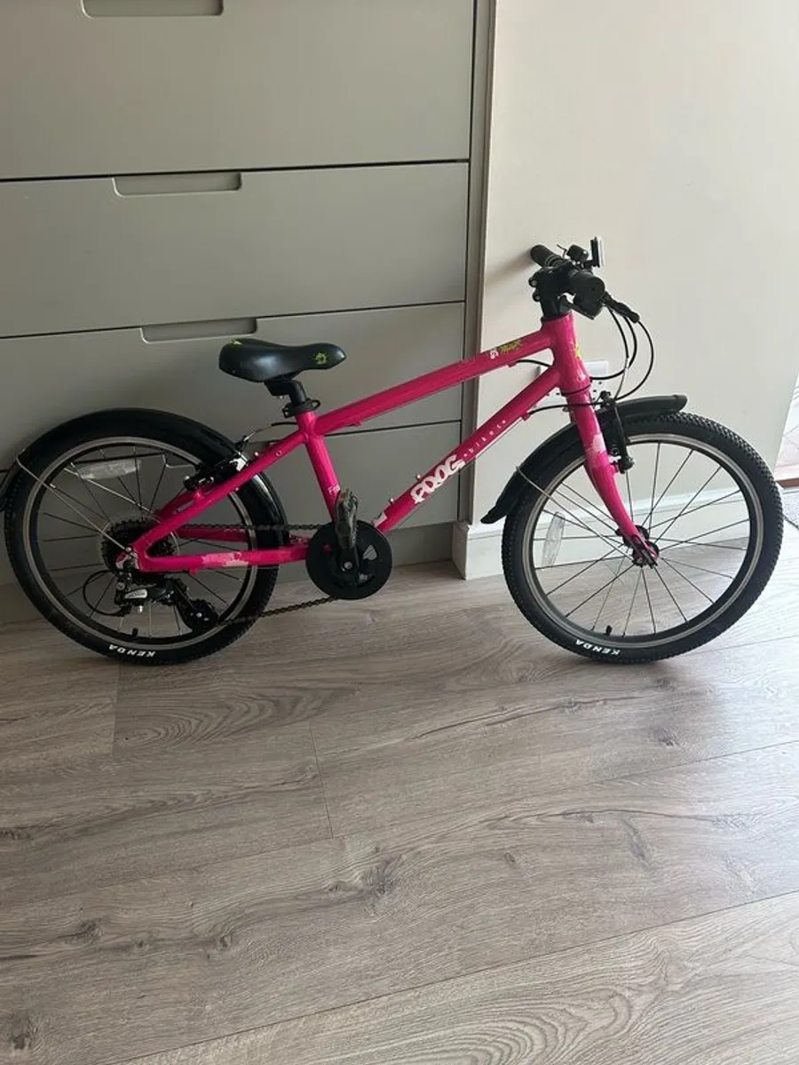 Frog Bike 55 - Image 1