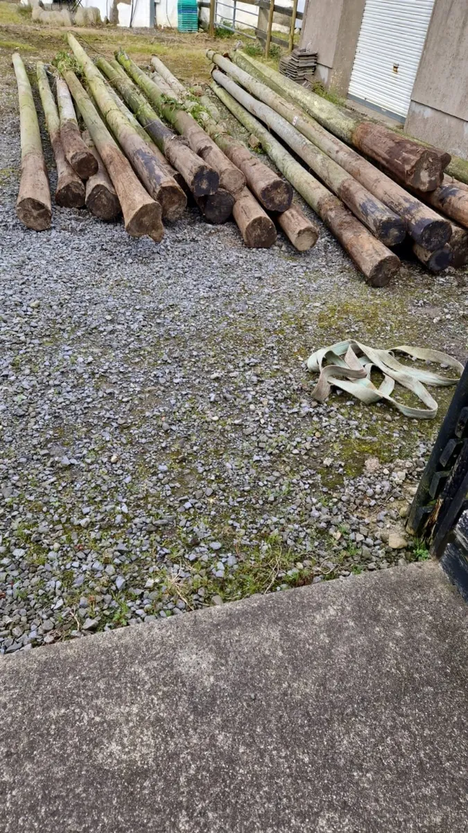 Telegraph Poles - Image 3