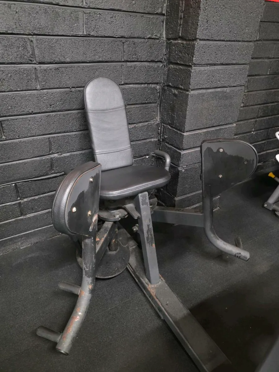 Plate Loaded Lat Pull Down & Adductor - Image 3