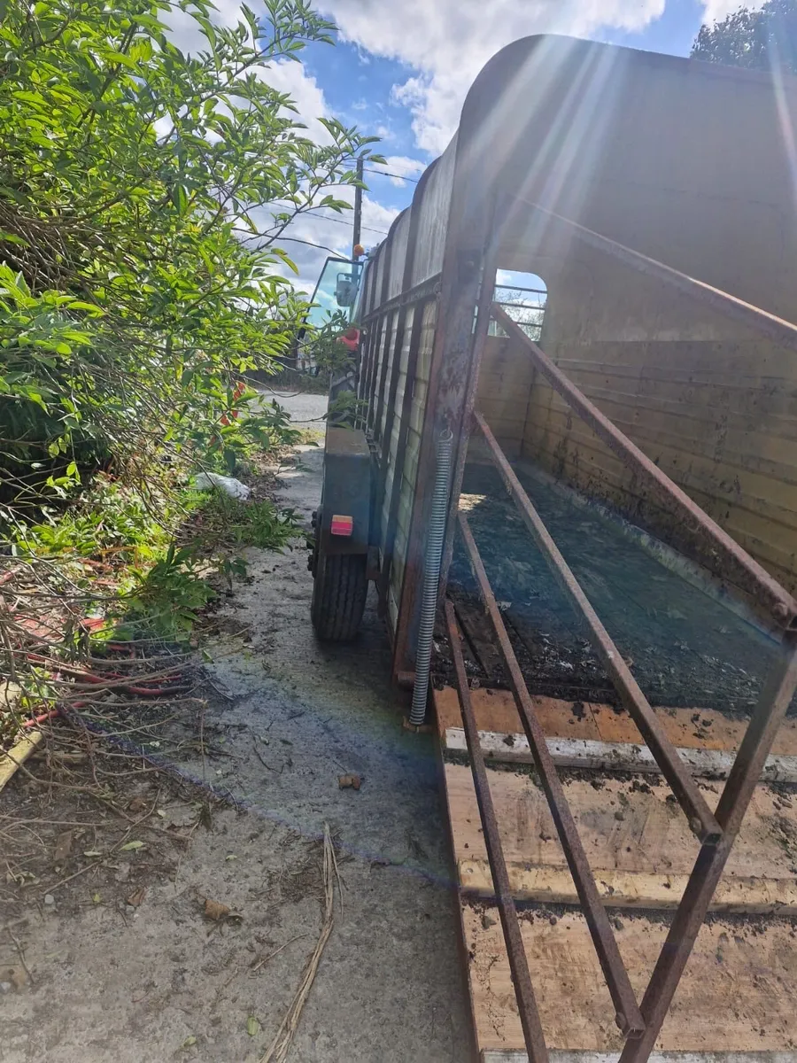 Cattle trailer - Image 4