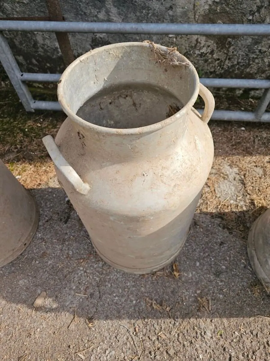 Milk churns for sale - excellent condition - 1960s - Image 4