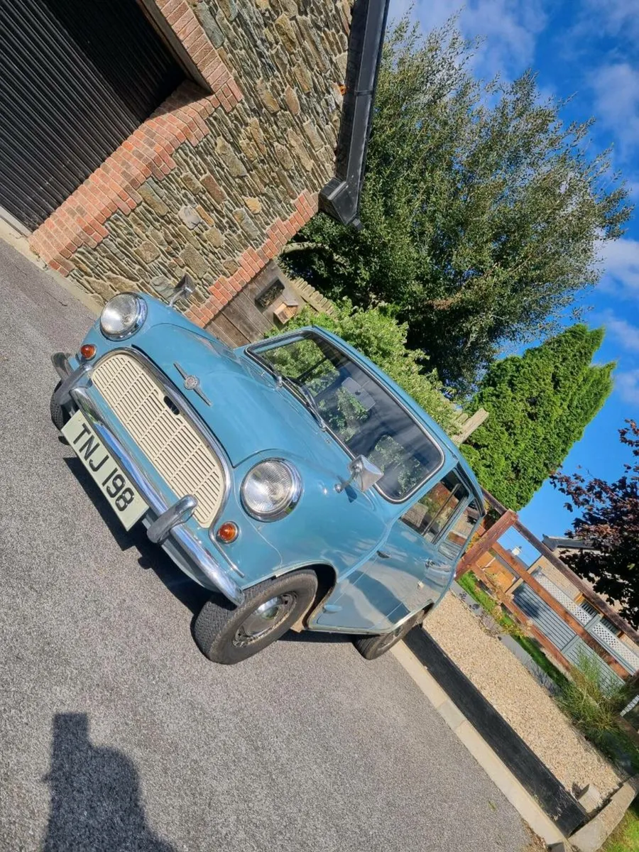 Mini - Image 2