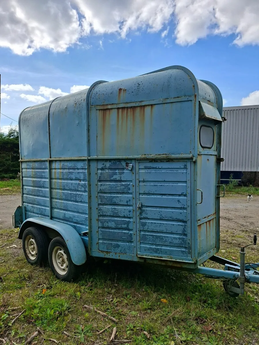 Rice Horse Box - Image 3