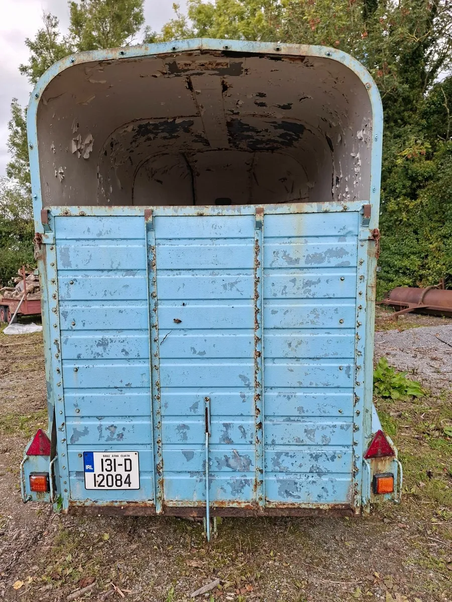 Rice Horse Box - Image 4