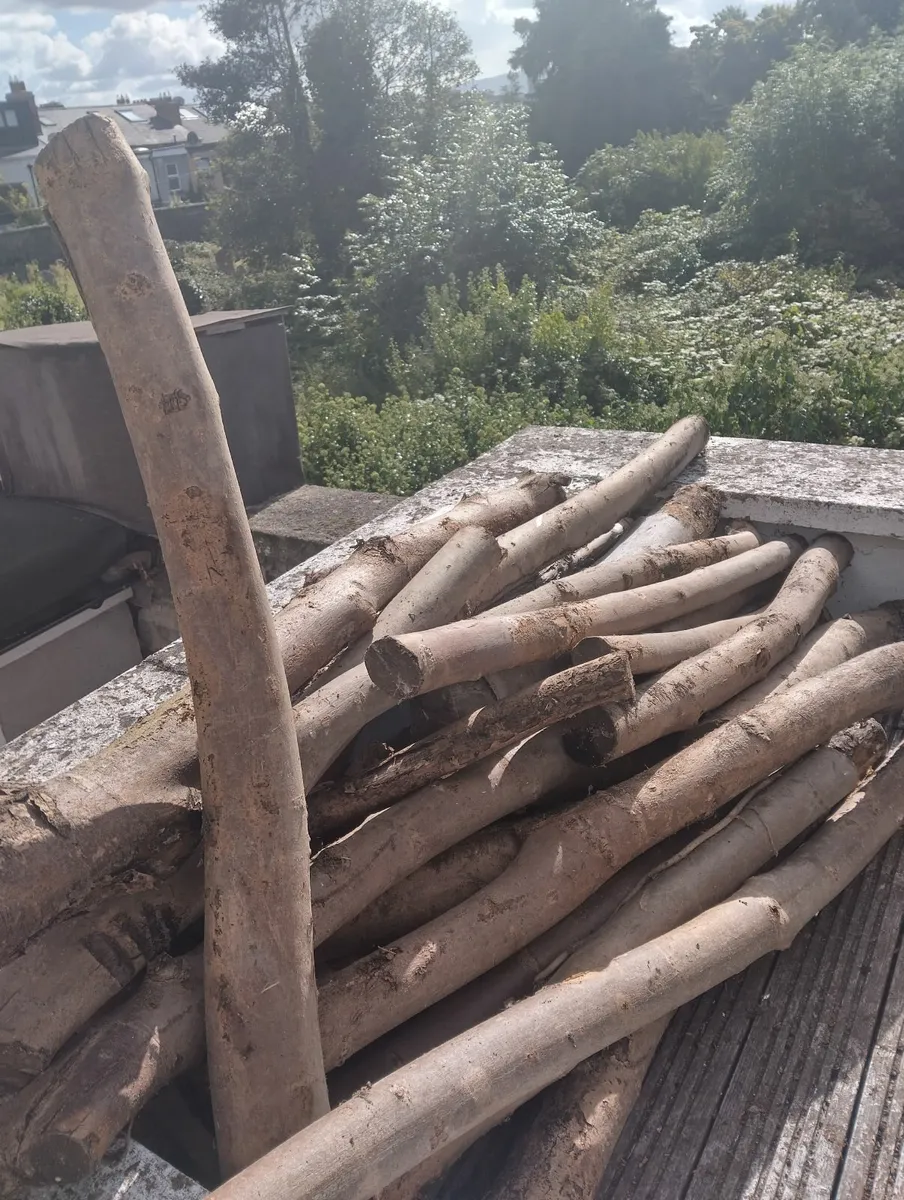 logs/firewood - Image 1