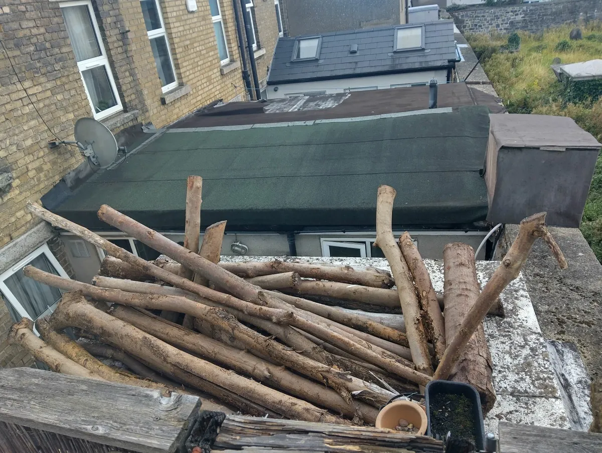 logs/firewood - Image 4