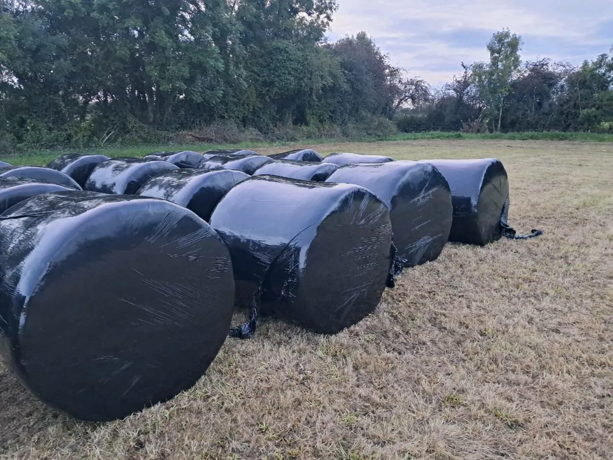 Silage - Image 1