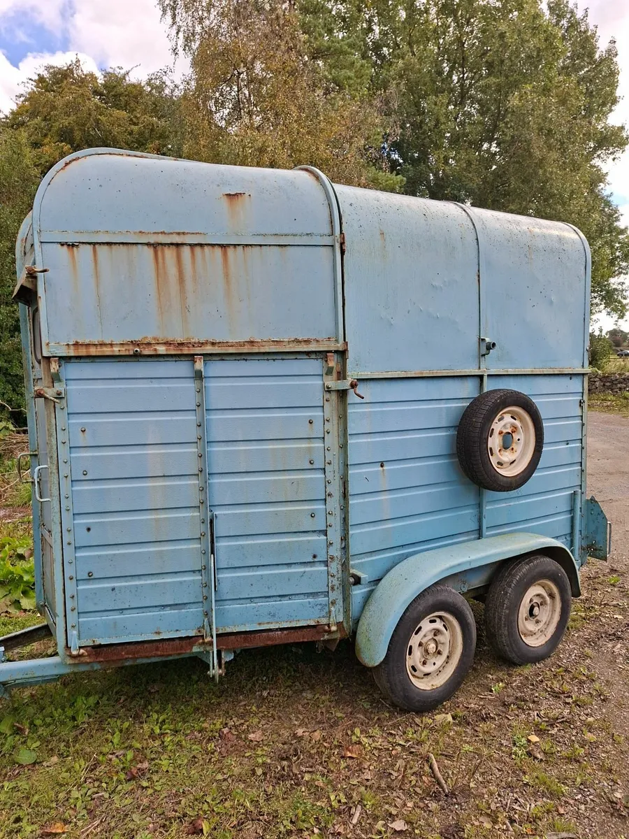 Rice Horse Box - Image 1