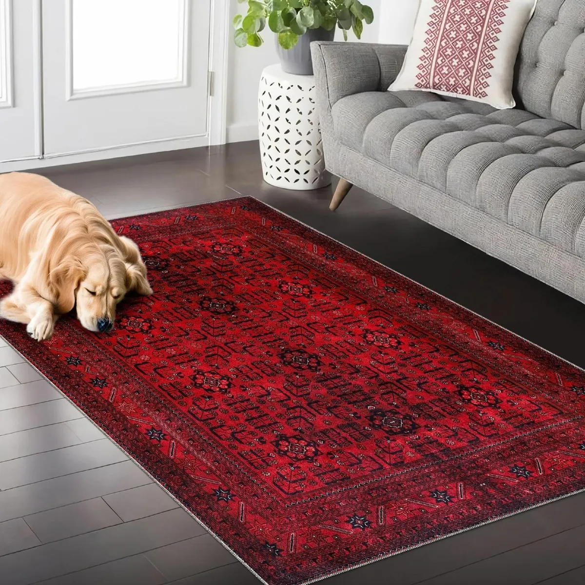 Rugs Living Room - Washable Rug Area Non-Slip Carp - Image 2