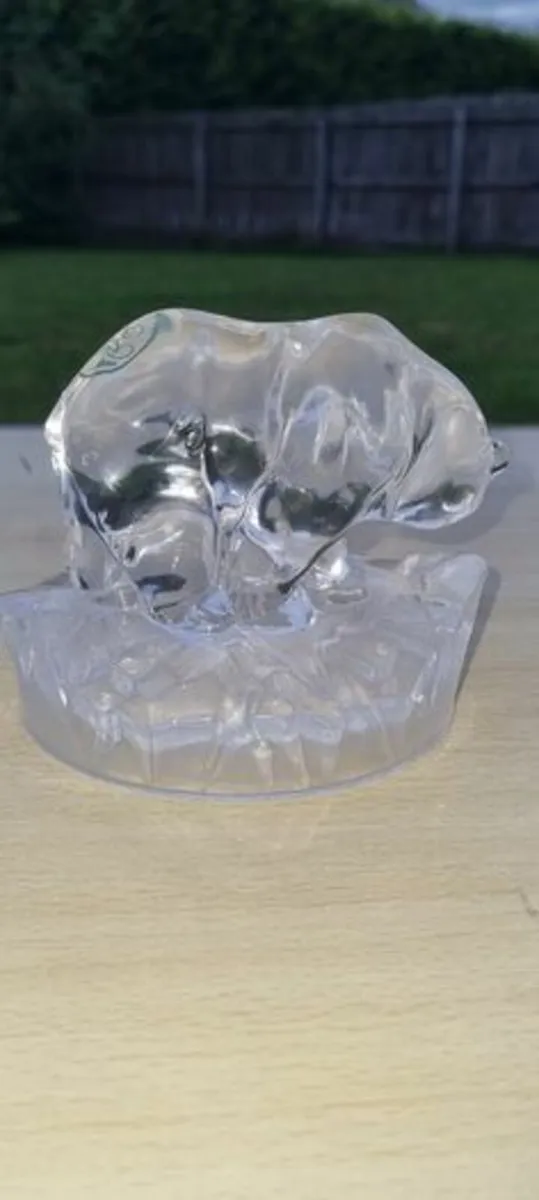 Eamon glass polar bears - Image 1