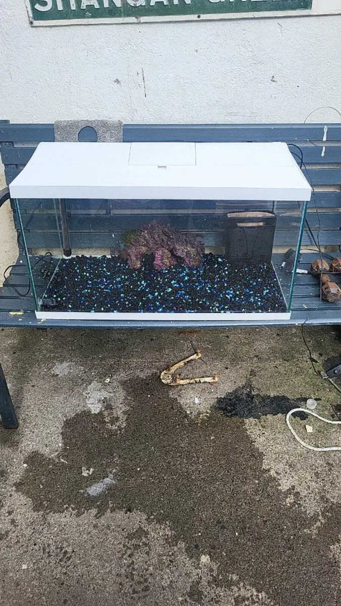 Fish tank - Image 1