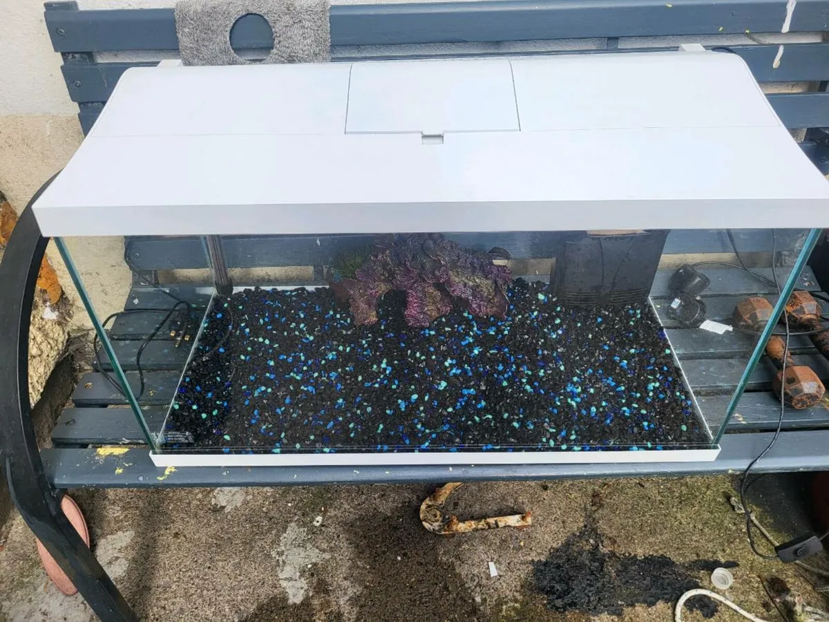 Fish tank - Image 2