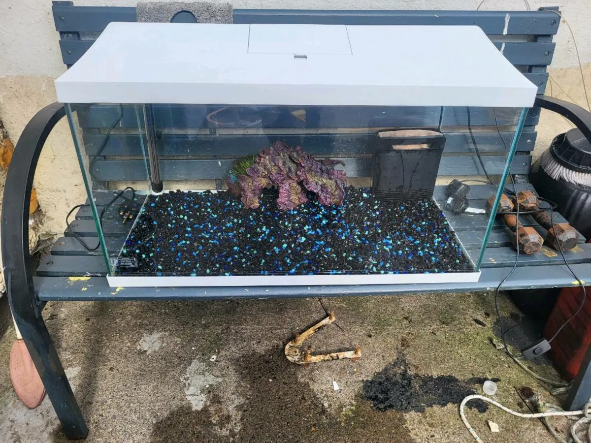 Fish tank - Image 4