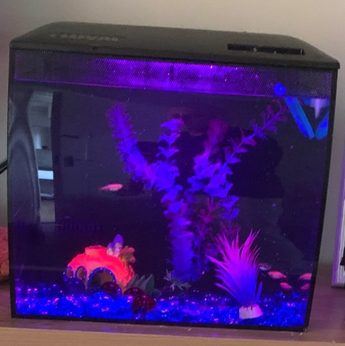Fish Tank - Image 2