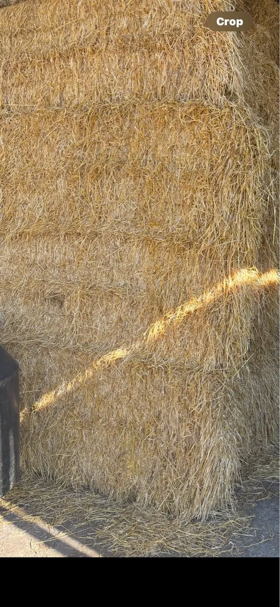 Quantity Straw for sale - Image 1