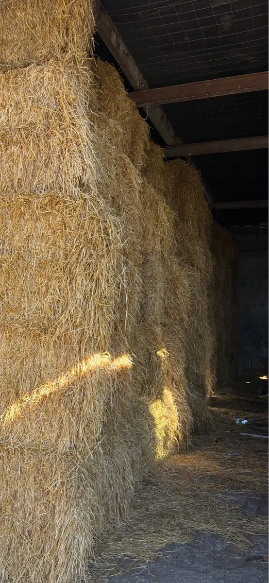 Quantity Straw for sale - Image 2