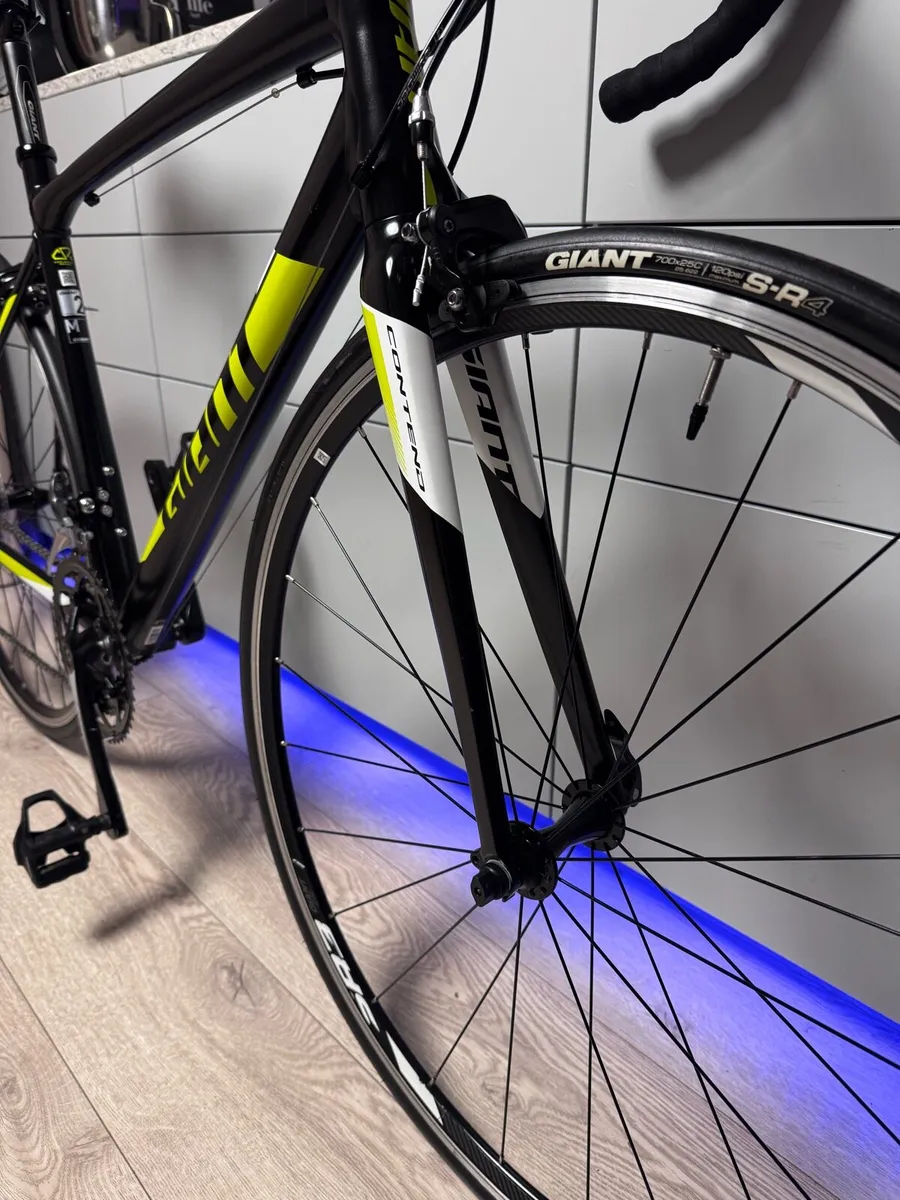 GIANT Contend Road Bike (Like New) - Image 4