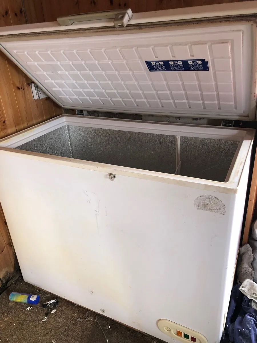 Chest Freezer - Image 1