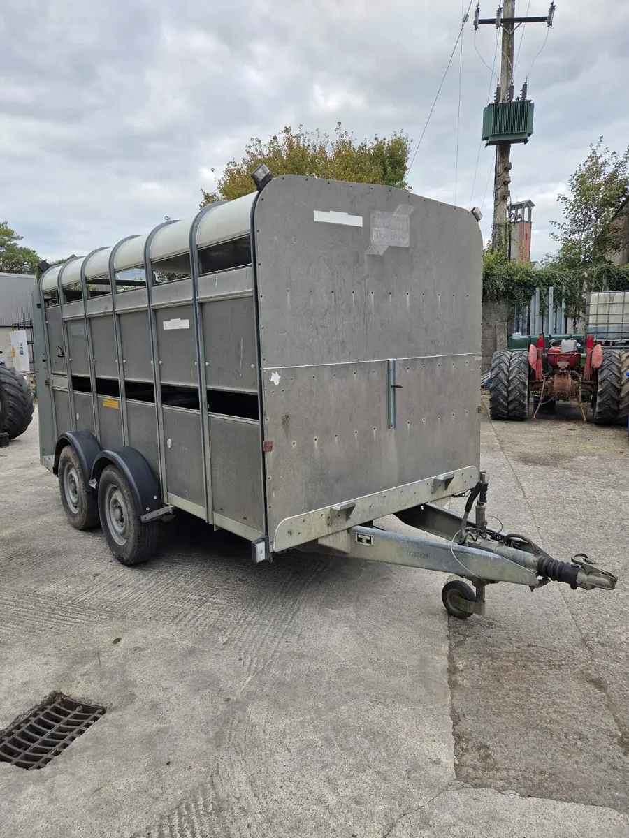 12x6 Ifor Williams - Image 2