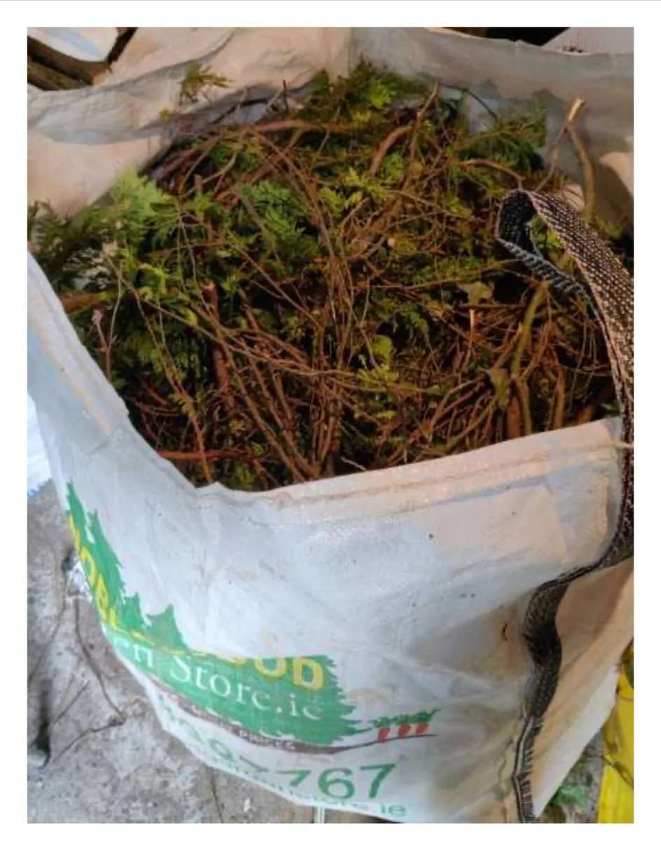 Tree cuttings