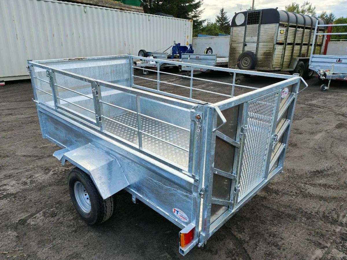 Quad/sheep trailer - Image 2