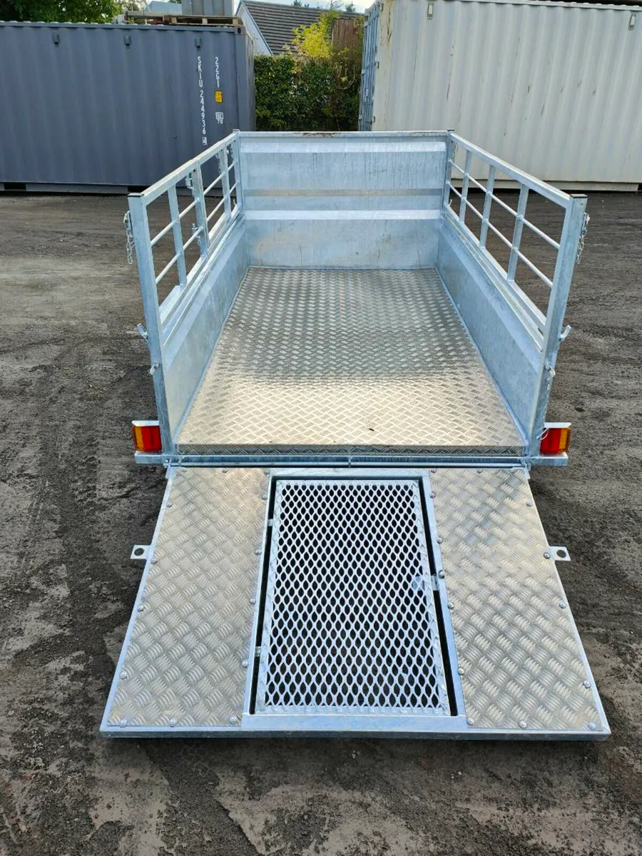 Quad/sheep trailer - Image 4
