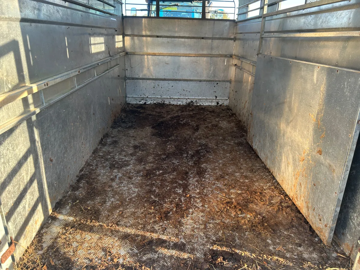 Hudson 12x5(9) Cattle Trailer - Image 3