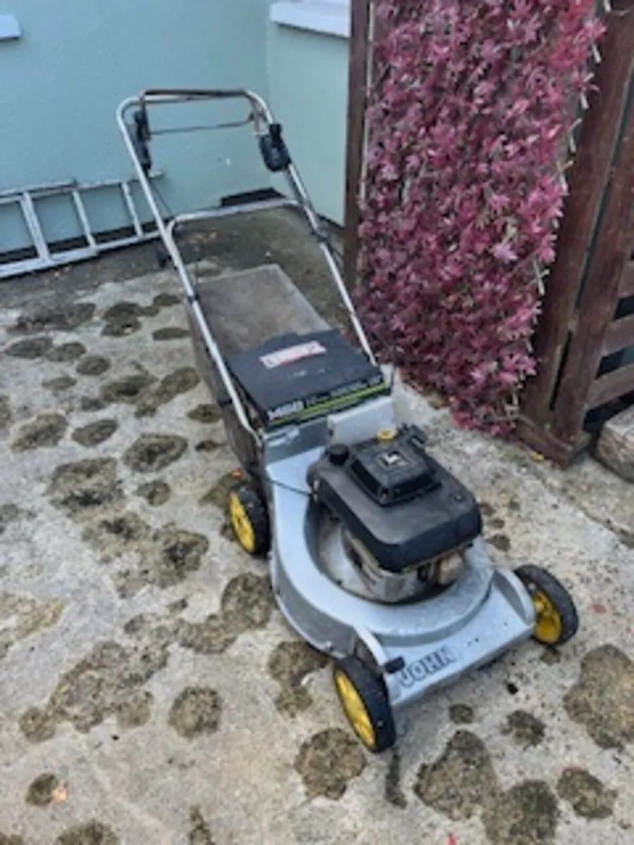 Lawnmower - Image 1
