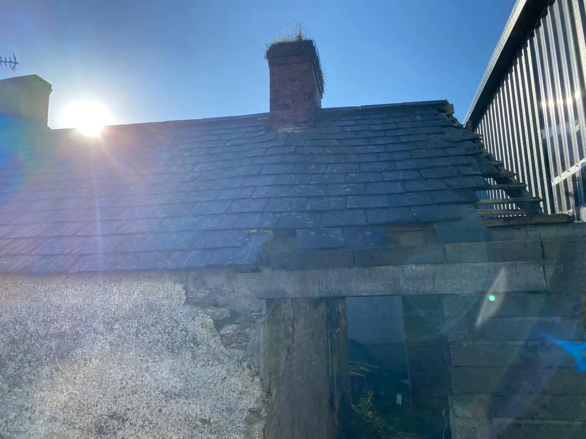 Bangor blue slates - Image 2