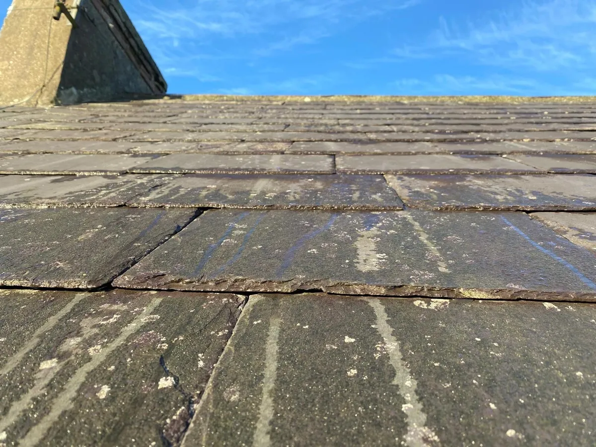 Bangor blue slates - Image 3