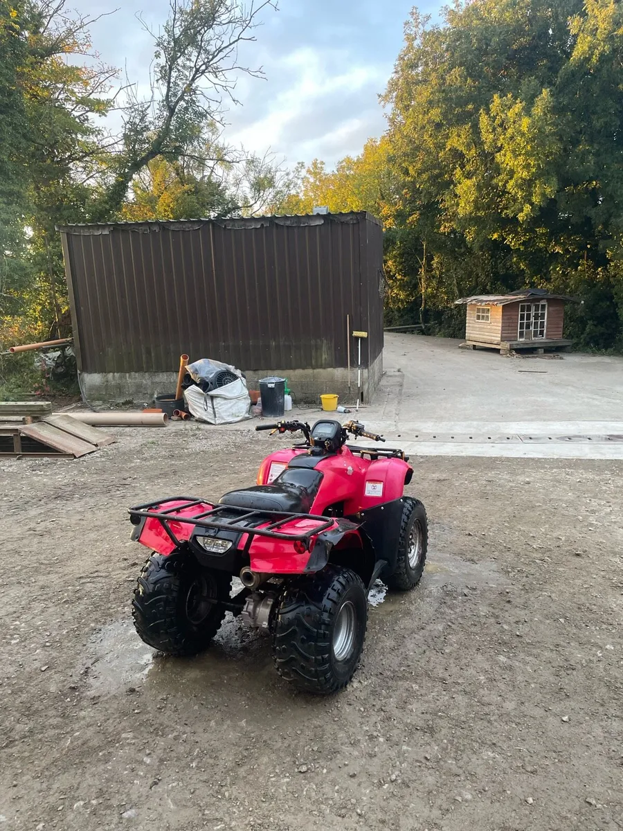 Honda Trx 250 - Image 1